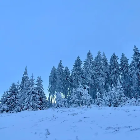 Weitsicht By Interhome Chalet Schwarzatal